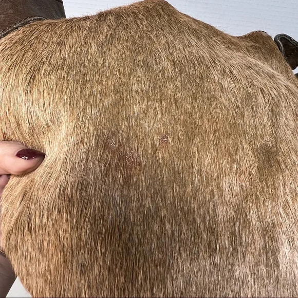 Maurizio Taiuti Italy Pony Calf Fur Brown Leather Crossbody Purse / Bag - Picture 14 of 14